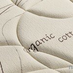 organic-cotton_1